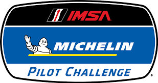 Michelin Pilot Series logo